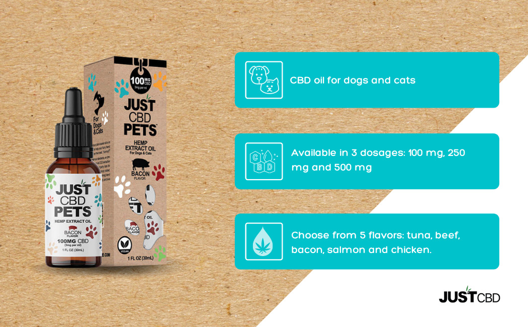 infograph bacon cbd oil